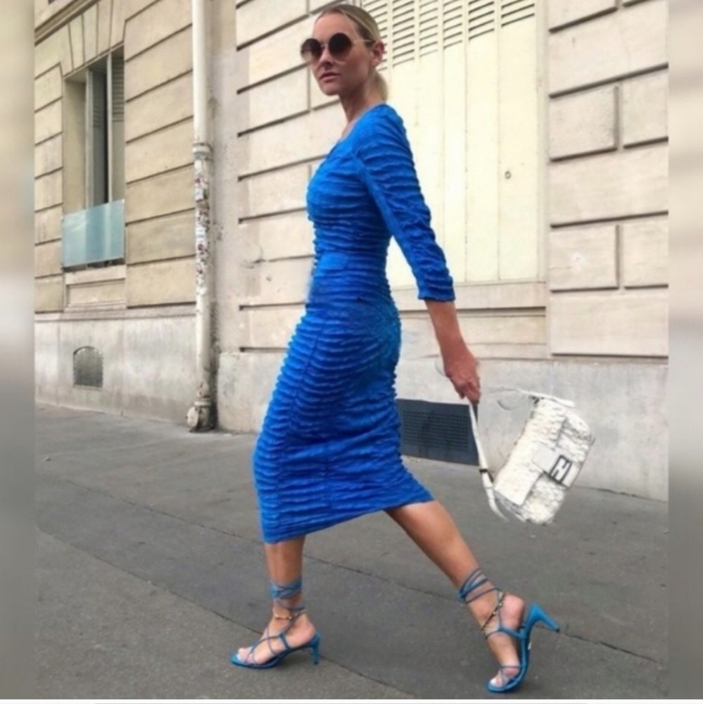 Zara The Anne Dress NWT